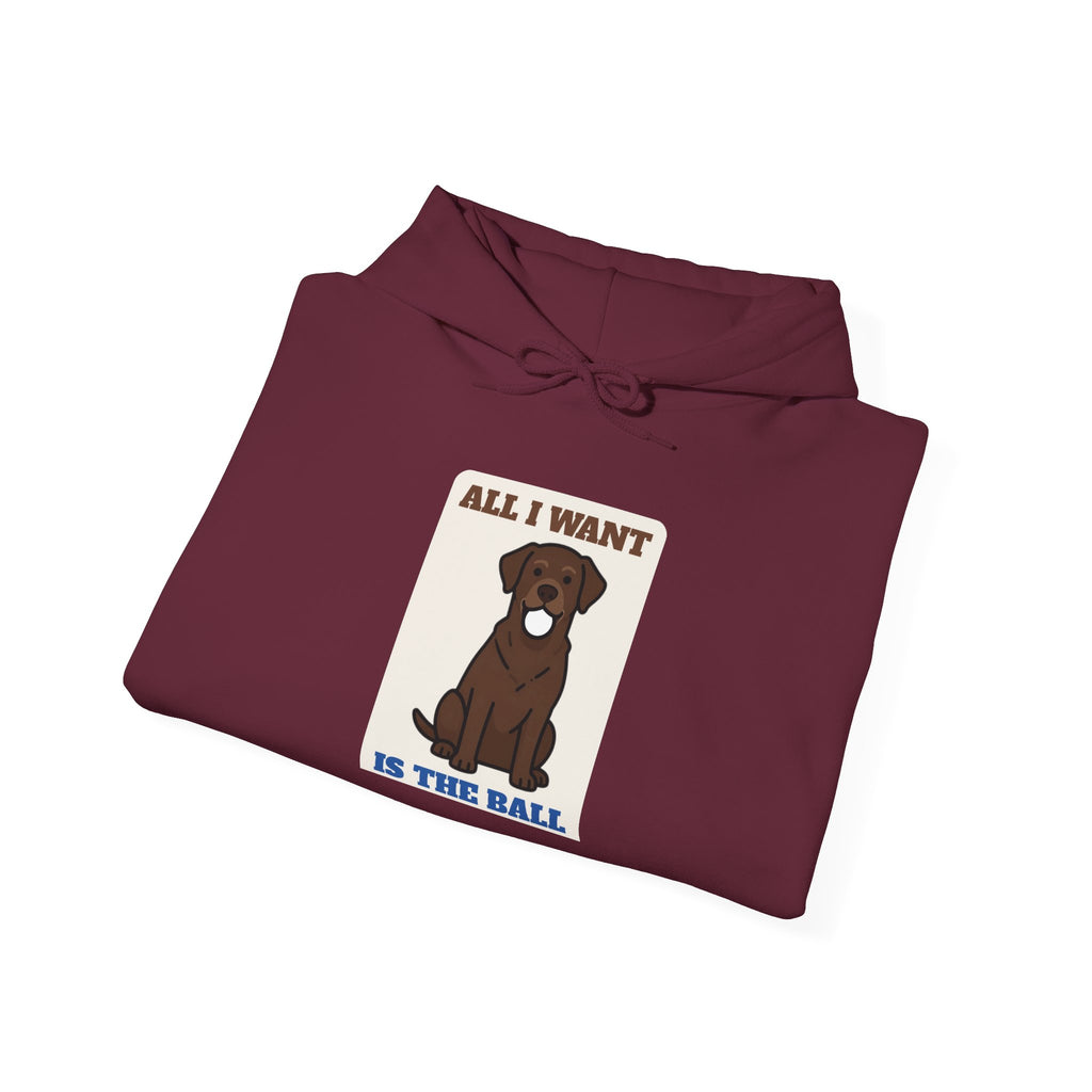 All I Want Is the Ball Labrador Hoodie | Labrador Gift