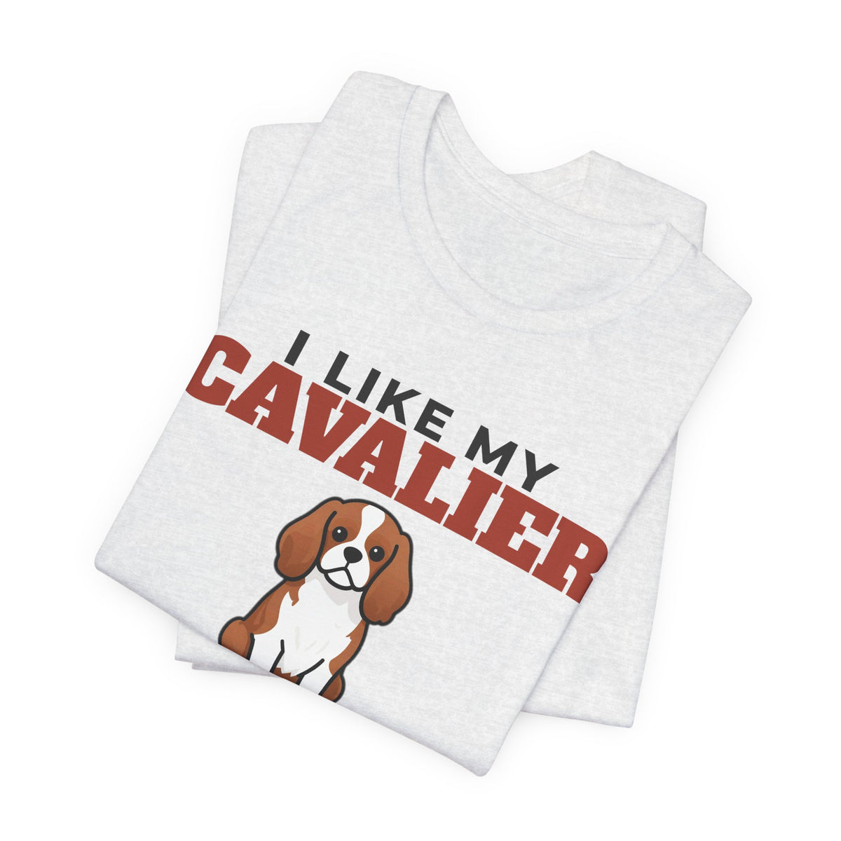 I Like My Cavalier King Charles, Cold Beer and Maybe 3 People Tee | Funny Cavalier King Charles Dad Gift