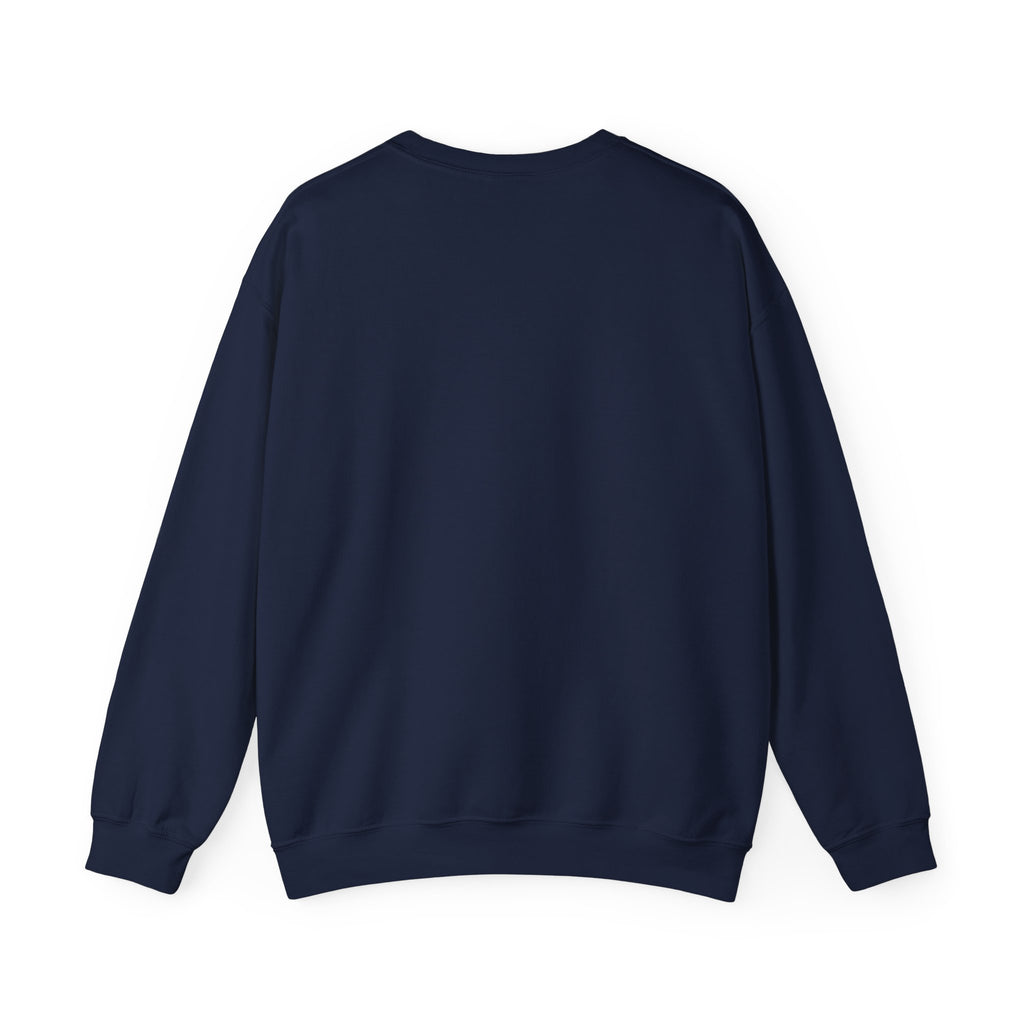 Funny Cat Christmas Crewneck Sweatshirt, Nice List Debatable Cat Crewneck Sweatshirt, Cat Mom Christmas Gift, Cat Dad Holiday Crewneck Sweatshirt, Naughty Cat Lover Gift