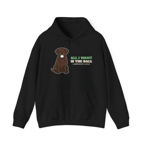All I Want Is the Ball Labrador Hoodie - funny labrador hoodie for humans, black, front print
