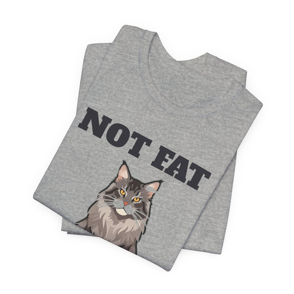 Not Fat, I'm Fluffy Maine Coon Tee | Maine Coon Gift
