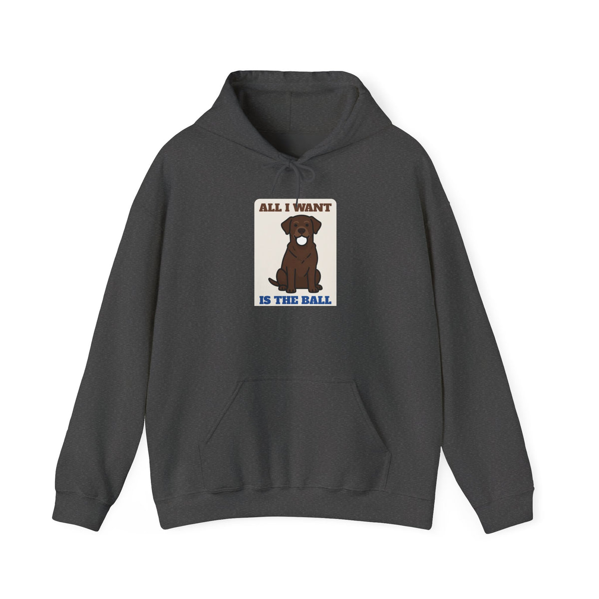 All I Want Is the Ball Labrador Hoodie - Labrador mom and Labrador dad gift sweatshirt