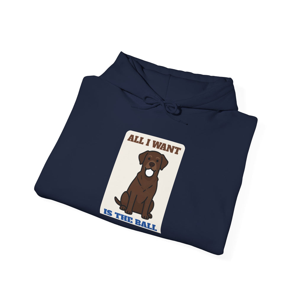 All I Want Is the Ball Labrador Hoodie | Labrador Gift