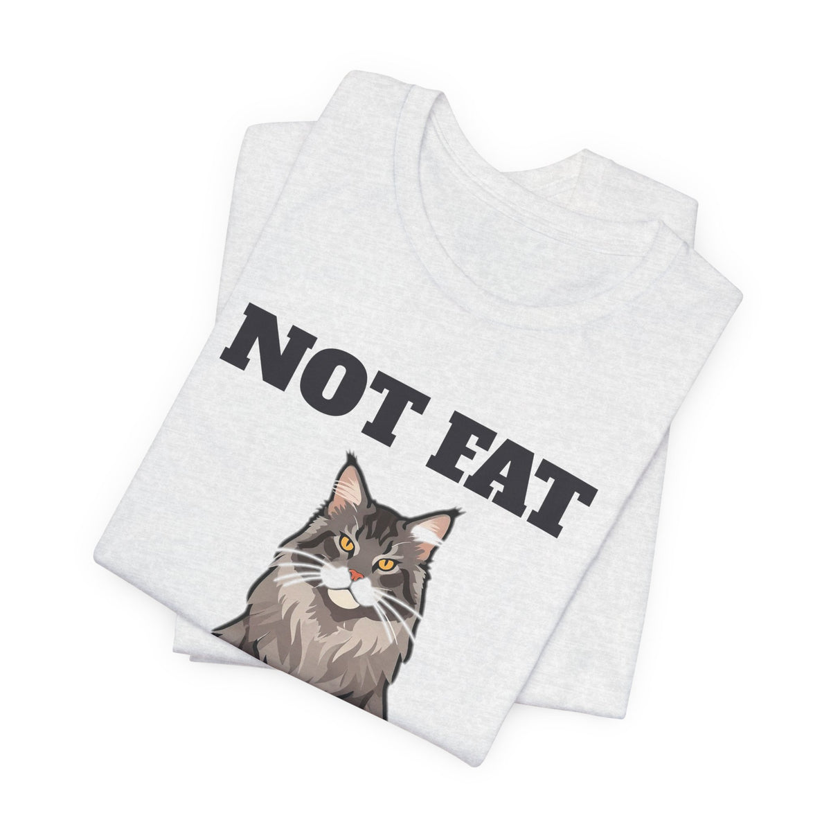 Not Fat, I'm Fluffy Maine Coon Tee | Maine Coon Gift