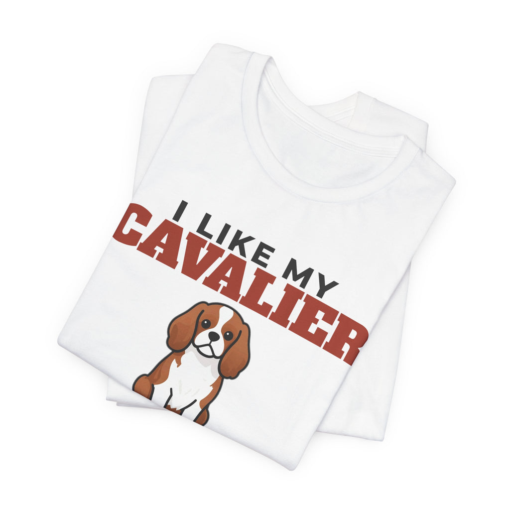 I Like My Cavalier King Charles, Cold Beer and Maybe 3 People Tee | Funny Cavalier King Charles Dad Gift