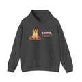 Santa, I Can Explain Dog Christmas Hoodie