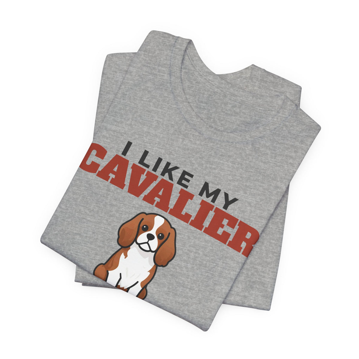 I Like My Cavalier King Charles, Cold Beer and Maybe 3 People Tee | Funny Cavalier King Charles Dad Gift