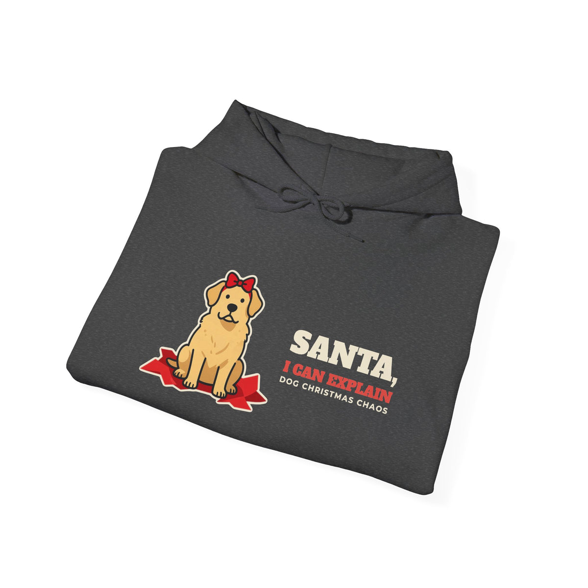 Santa, I Can Explain Dog Christmas Hoodie