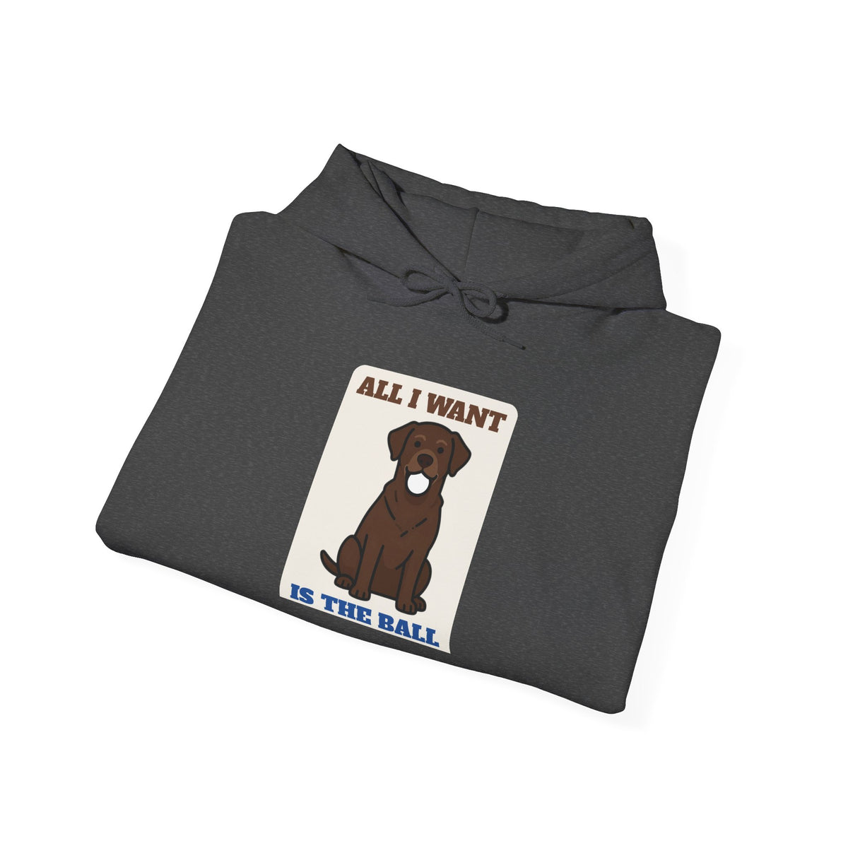 All I Want Is the Ball Labrador Hoodie | Labrador Gift