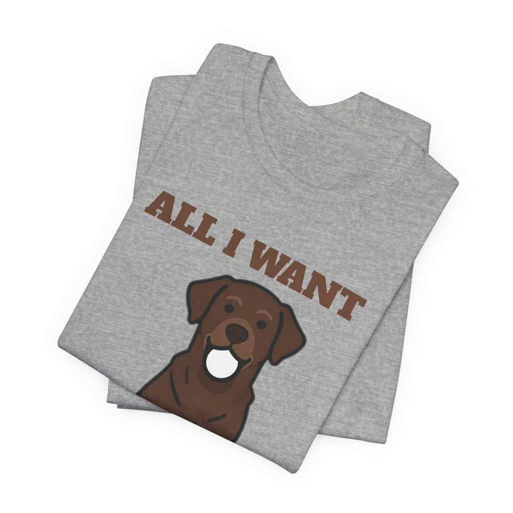 All I Want Is the Ball Labrador Tee | Labrador Gift