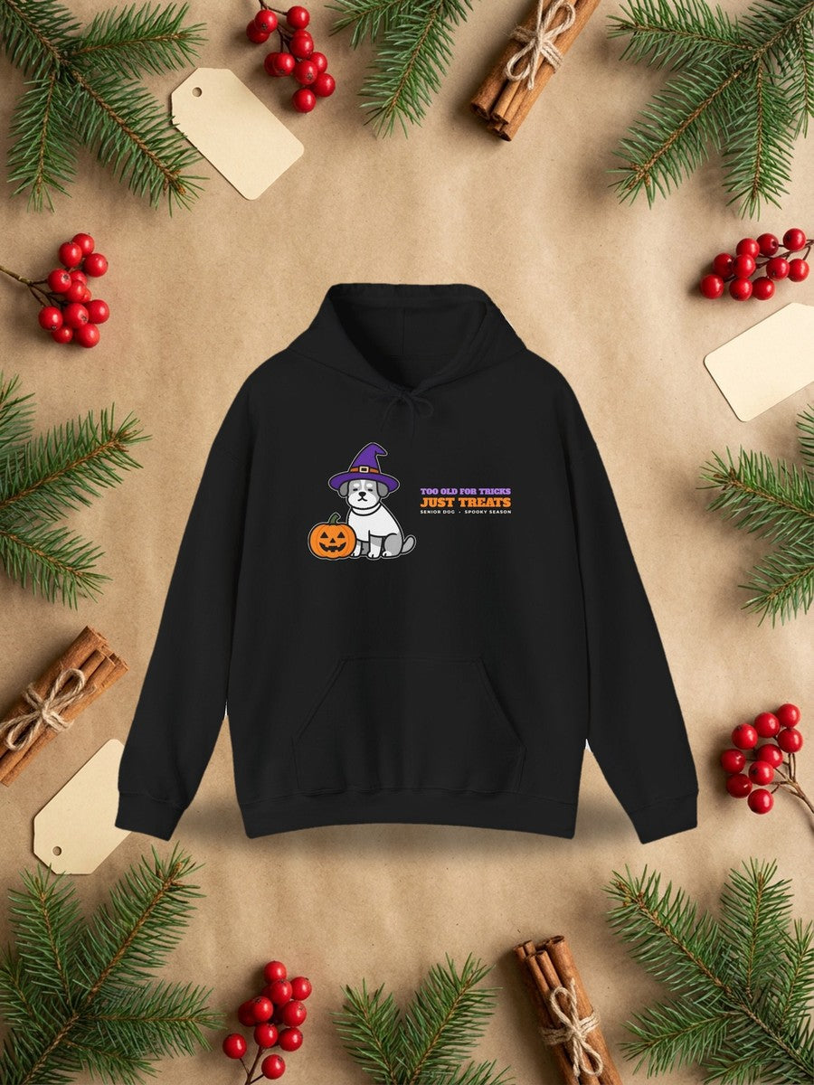 Halloween Dog Hoodie - Too Old for Tricks, Just Treats in a styled flat lay product photo