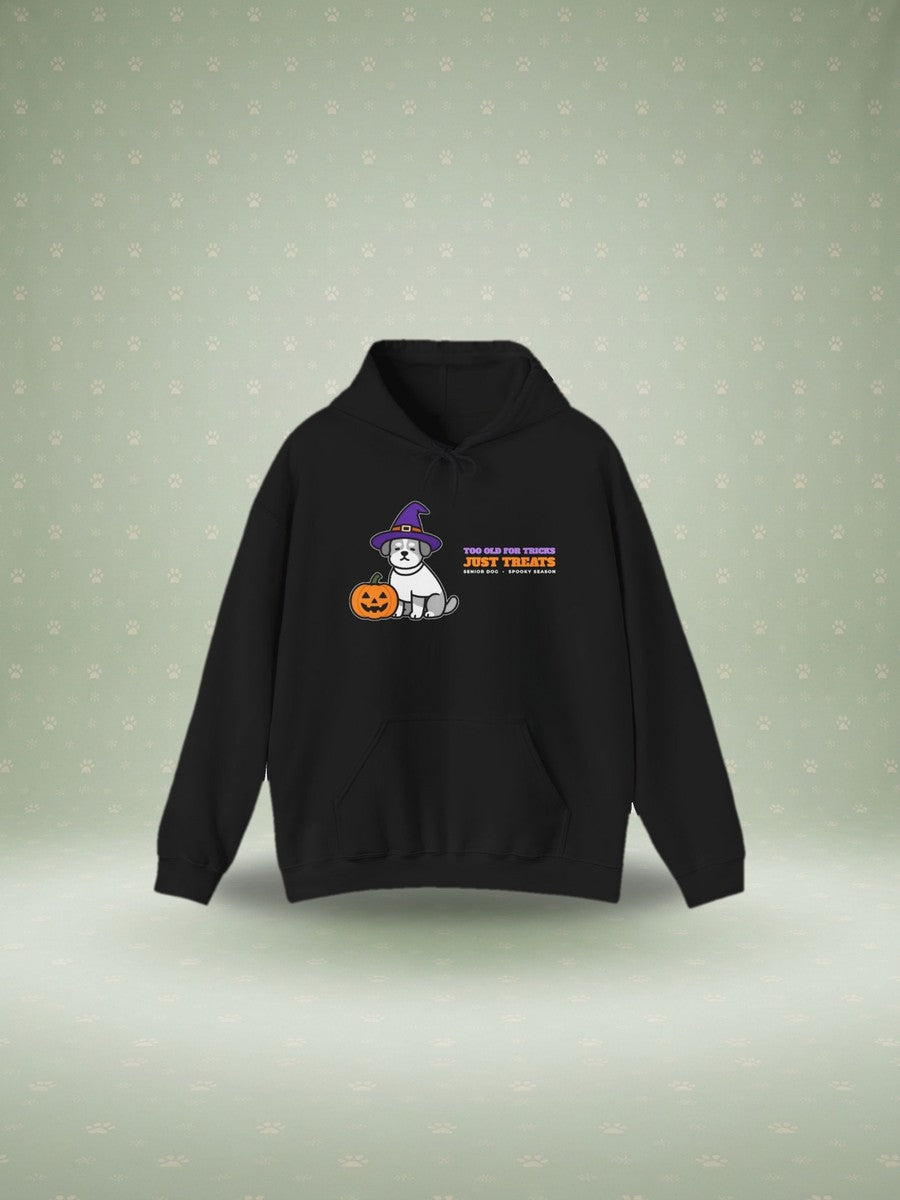Too Old for Tricks senior dog Halloween hoodie in a studio scene